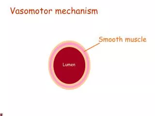 Vasomotor mechanism