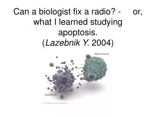 Can a biologist fix a radio? - or, what I learned studying apoptosis. ( Lazebnik Y. 2004)