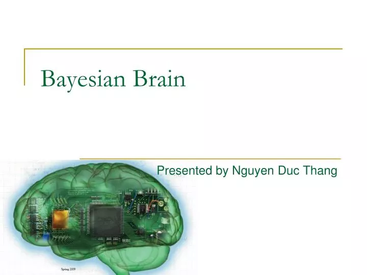 bayesian brain