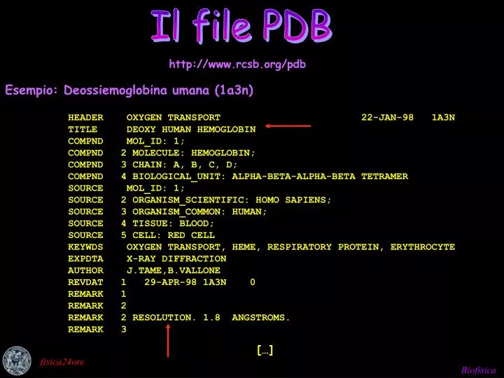 il file pdb