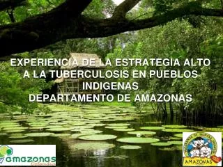 EXPERIENCIA DE LA ESTRATEGIA ALTO A LA TUBERCULOSIS EN PUEBLOS INDIGENAS DEPARTAMENTO DE AMAZONAS