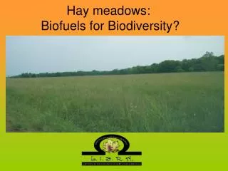 Hay meadows: Biofuels for Biodiversity?