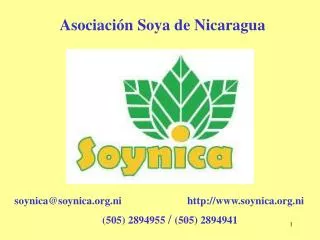 Asociación Soya de Nicaragua