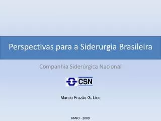 Perspectivas para a Siderurgia Brasileira