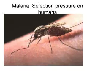 Malaria: Selection pressure on humans