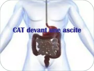 cat devant une ascite