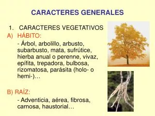 caracteres generales