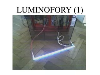 LUMINOFORY (1)