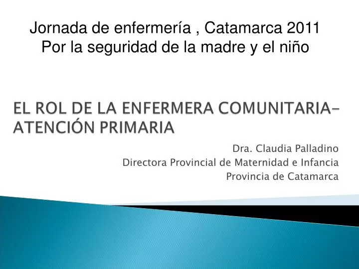 dra claudia palladino directora provincial de maternidad e infancia provincia de catamarca