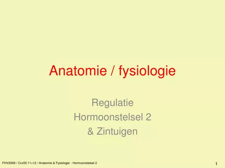 anatomie fysiologie