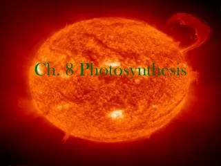 Ch. 8 Photosynthesis