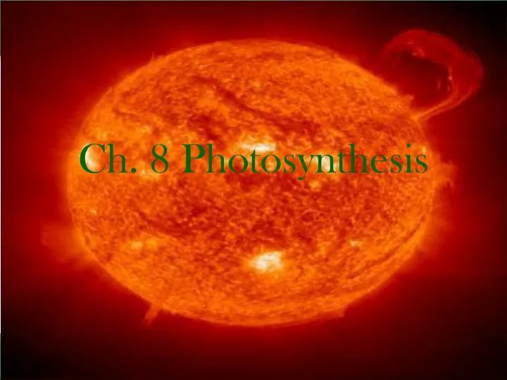 ch 8 photosynthesis