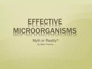 Effective Microorganisms