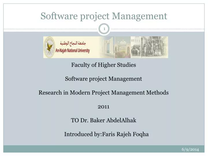 software project management