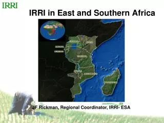 IRRI in East and Southern Africa