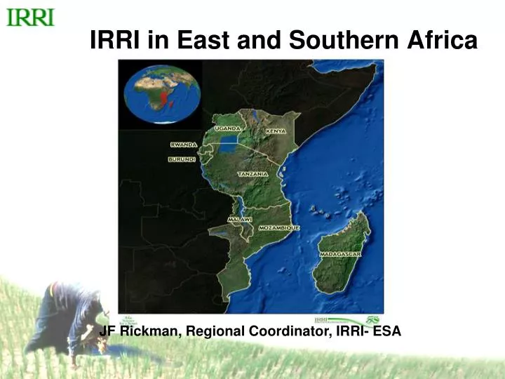 irri in east and southern africa