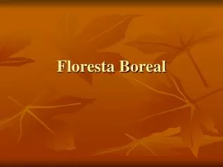 Floresta Boreal