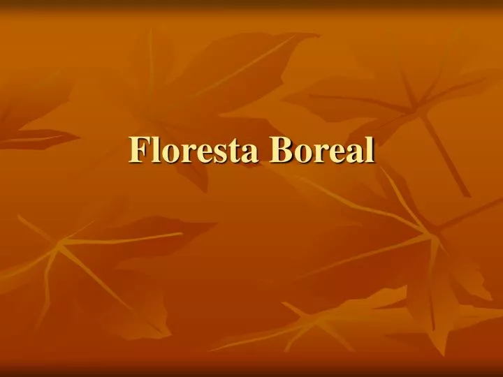 floresta boreal