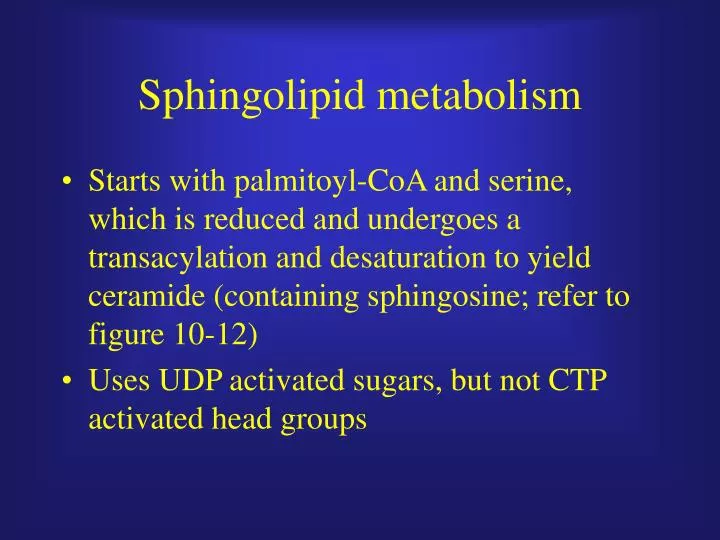 sphingolipid metabolism