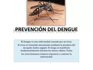 prevenci n del dengue