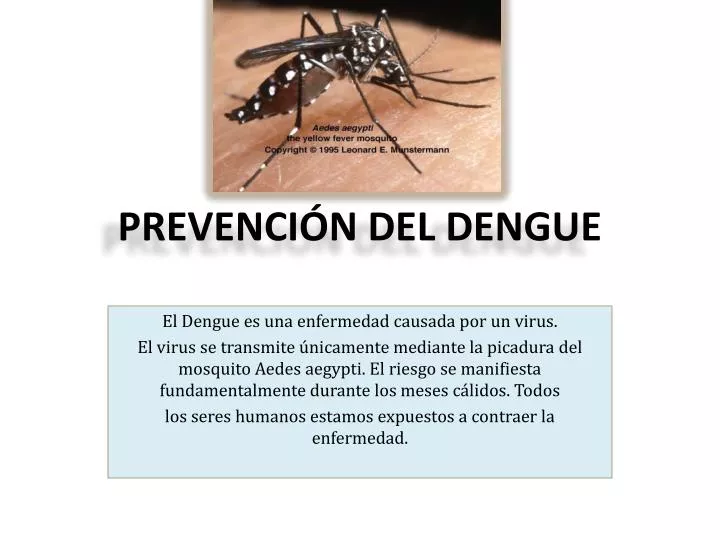 prevenci n del dengue