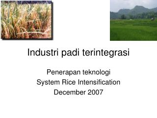 Industri padi terintegrasi