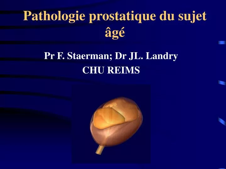 pathologie prostatique du sujet g