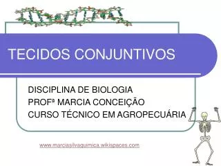 tecidos conjuntivos