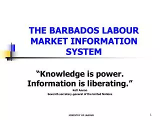 THE BARBADOS LABOUR MARKET INFORMATION SYSTEM