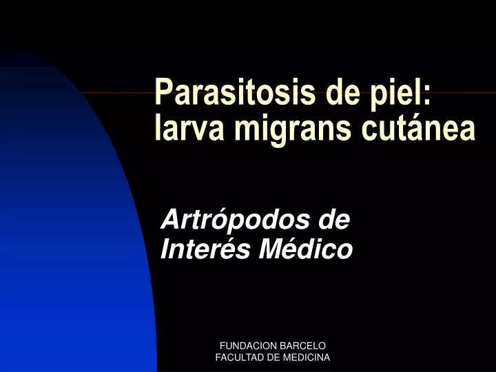 parasitosis de piel larva migrans cut nea