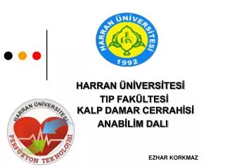 harran n vers tes tip fak ltes kalp damar cerrah s anab l m dali