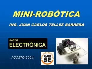 mini rob tica