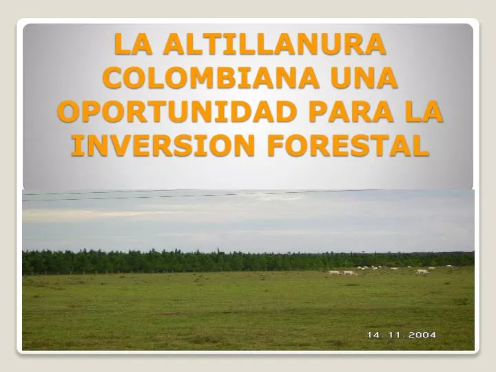 la altillanura colombiana una oportunidad para la inversion forestal