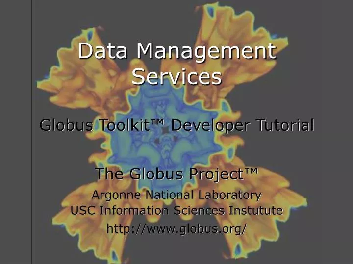 data management services