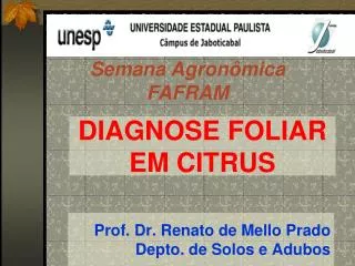 Prof. Dr. Renato de Mello Prado Depto. de Solos e Adubos