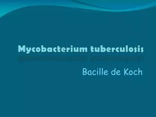 mycobacterium tuberculosis