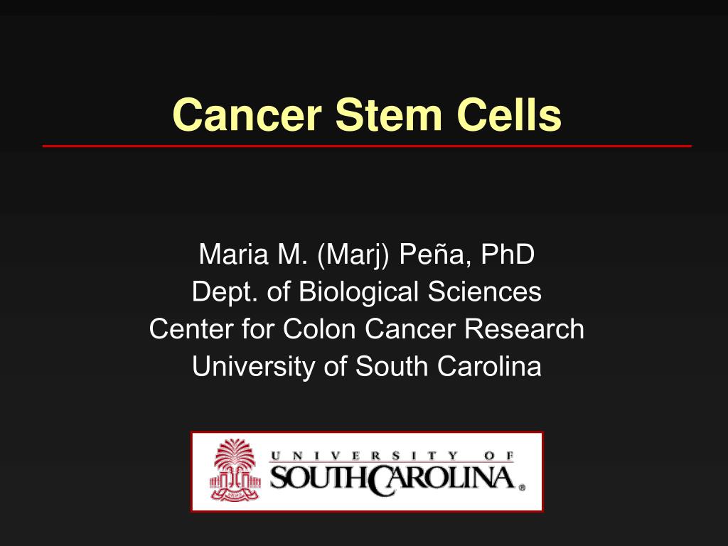 PPT - Cancer Stem Cells PowerPoint Presentation, free download - ID:955614