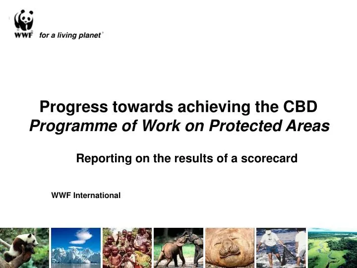 progress towards achieving the cbd programme of work on protected areas
