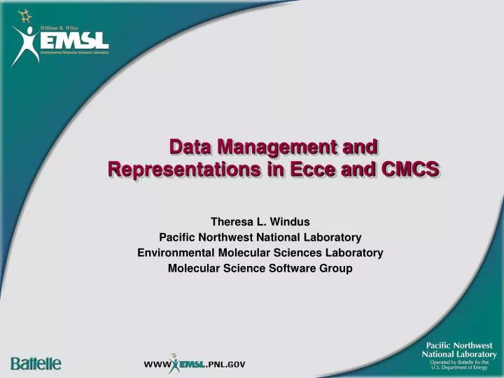 data management and representations in ecce and cmcs