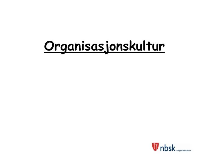 organisasjonskultur