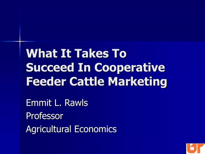 what it takes to succeed in cooperative feeder cattle marketing