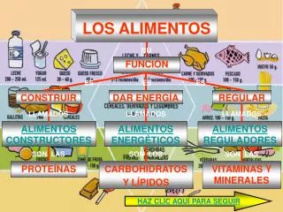 los alimentos