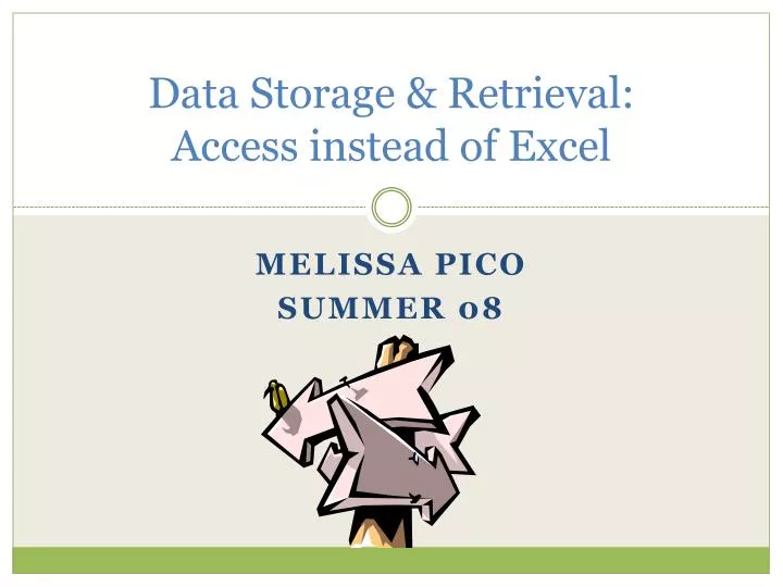 data storage retrieval access instead of excel