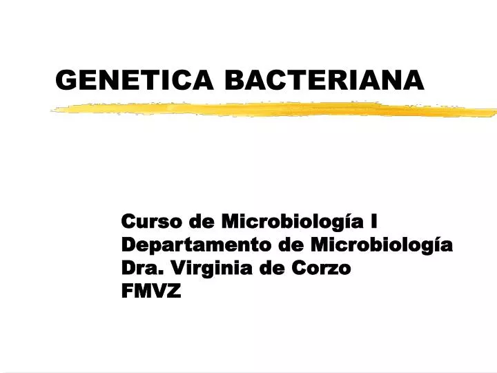 genetica bacteriana