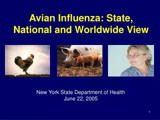 Avian Influenza: State, National and Worldwide View