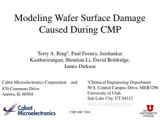 Modeling Wafer Surface Damage Caused During CMP