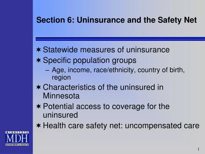 section 6 uninsurance and the safety net