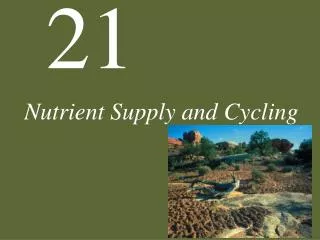 Nutrient Supply and Cycling