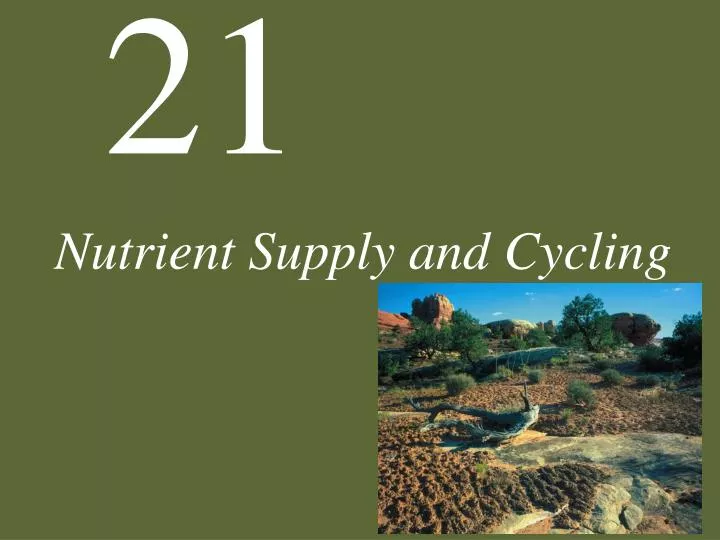 nutrient supply and cycling