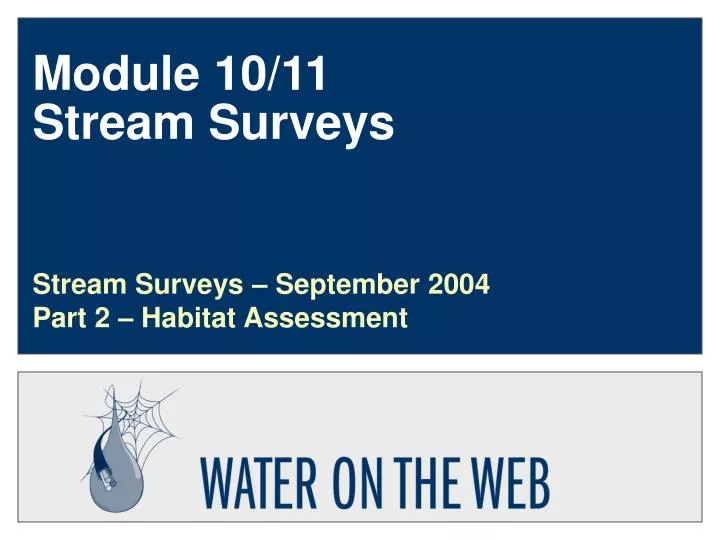 module 10 11 stream surveys